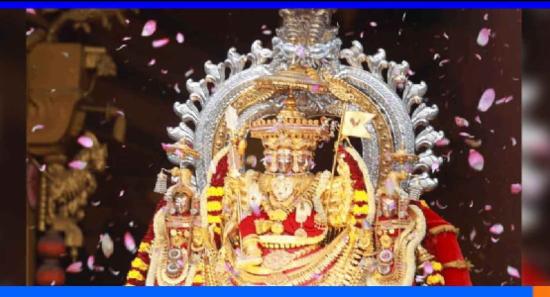 නල්ලූර් වාර්ෂික මංගල්‍යයේ තේරු උත්සවය අද...